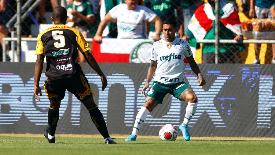 Dudu encara marcação em jogo do Palmeiras contra o Novorizontino - Thiago Calil/AGIF