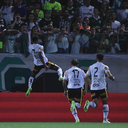 Pablo Dyego, do Novorizontino, comemora após marcar no jogo contra o Palmeiras, pelo Paulistão