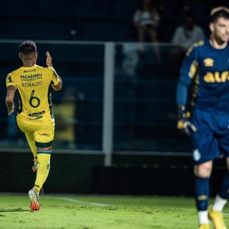 Reinaldo, do Mirassol, comemora gol marcado contra o Grêmio. Reinaldo, do Mirassol, comemora gol marcado contra o Grêmio.