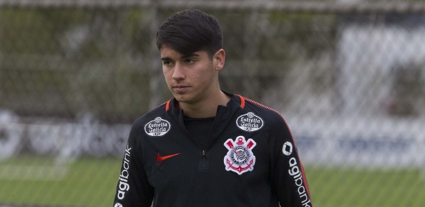 Chilean midfielder Araos, 21, is one of the signings at Andres Sanchez