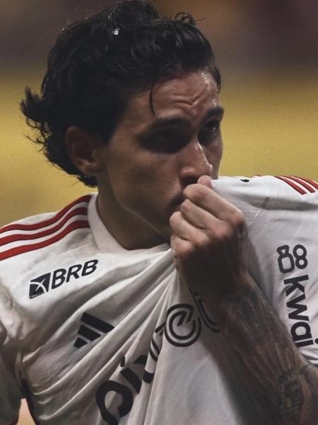 Pedro comemora gol do Flamengo sobre o Amazonas em jogo da Copa do Brasil