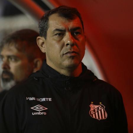 Fábio Carille, técnico do Santos, durante jogo contra o Ituano pela Série B