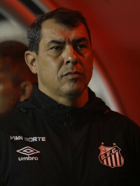 Fábio Carille, técnico do Santos, durante jogo contra o Ituano pela Série B - Reinaldo Campos/AGIF