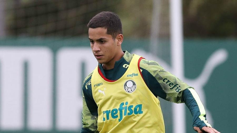 Jovem Vitinho pertence ao Cruzeiro, mas está emprestado ao Palmeiras - Cesar Greco/Ag. Palmeiras
