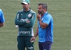 Coordenador do Palmeiras diz como clube atingiu hegemonia de 'PSG e Bayern'