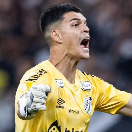 Gabriel Brazão, goleiro do Santos