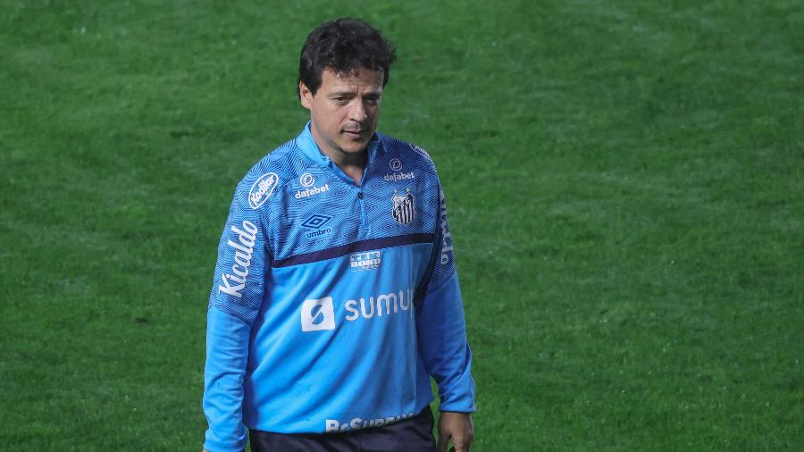 Fernando Diniz, técnico do Santos, durante partida de ida contra o Libertad, pelas quartas da Sul-Americana - Marcello Zambrana/AGIF
