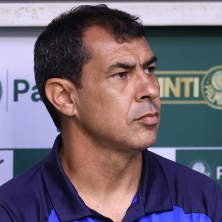 Fábio Carille, técnico do Santos, durante jogo contra o Palmeiras