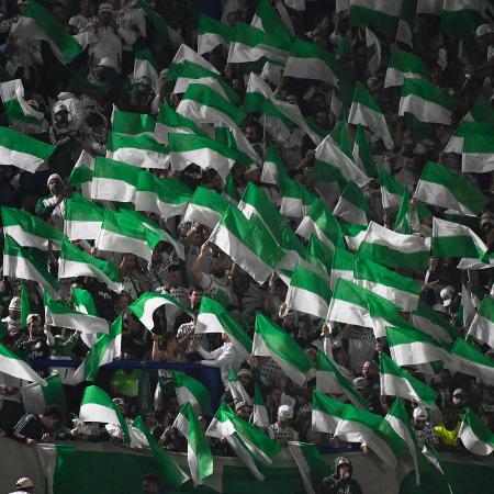 Torcida do Palmeiras na Bombonera