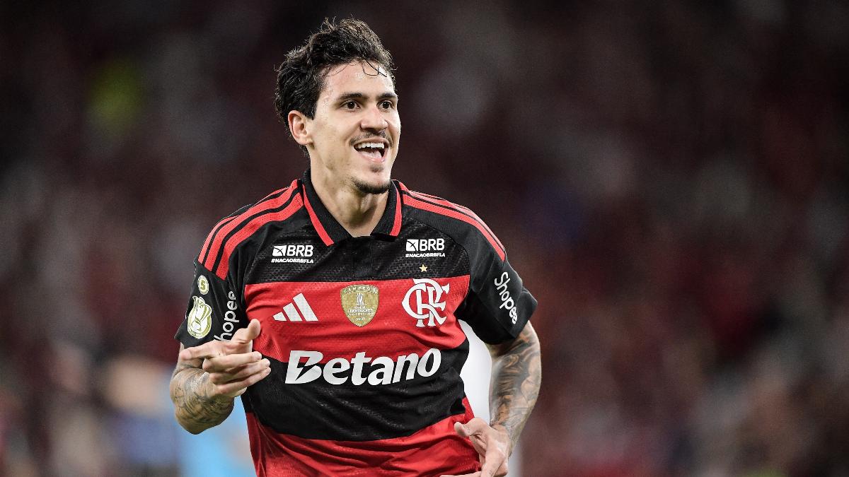 Transmissão ao vivo de Chapecoense x Flamengo pelo Brasileirão: veja onde assistir