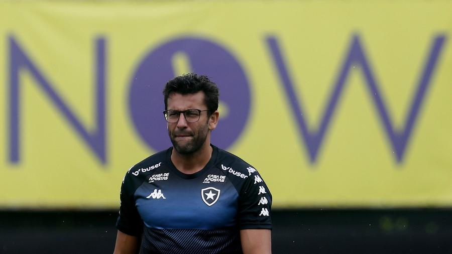 Valentim tem aproveitamento péssimo no Brasileirão por Botafogo e Avaí - Vitor Silva/Botafogo FR