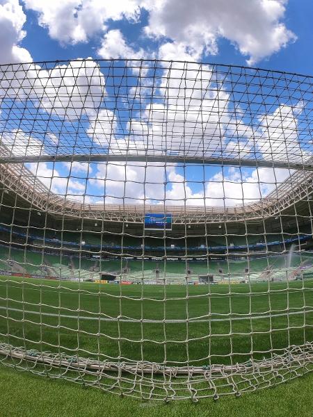Novo gramado estreia hoje em Palmeiras x Mirassol - Divulgação/SE Palmeiras