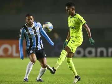 Palmeiras busca ponto precioso com o Grêmio 