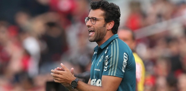 Alberto Valentim é o novo técnico do Botafogo - Cesar Greco/Ag. Palmeiras