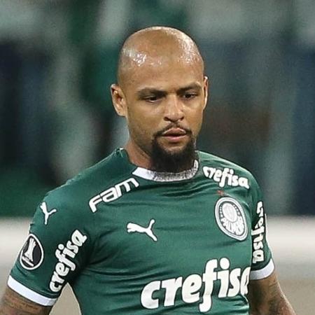 Felipe Melo batalha para voltar ao time no sábado - Cesar Greco/Ag Palmeiras/Divulgação