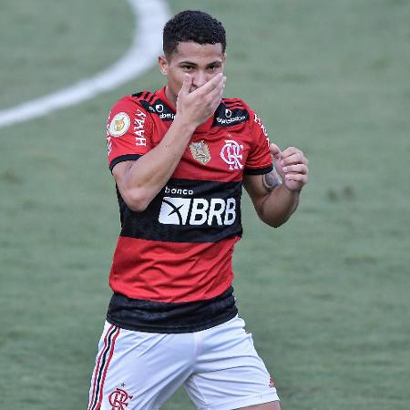 João Gomes regrets a goal disallowed by Flamengo in the match against Sport - THIAGO RIBEIRO/AGIF - PHOTOGRAPHY AGENCY/AGIF - PHOTOGRAPHY AGENCY/ESTADÃO CONTENT - THIAGO RIBEIRO/AGIF - PHOTOGRAPHY AGENCY/AGIF - PHOTOGRAPHY AGENCY/ESTADÃO CONTENT