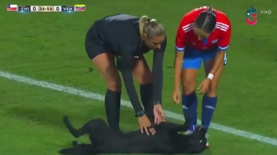 Um cachorro invadiu o amistoso de futebol feminino entre Chile e Venezuela e fez a festa - Reprodução