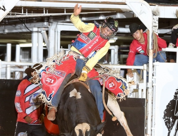 Rodeio: principais diferenças entre montar em touro ou cavalo