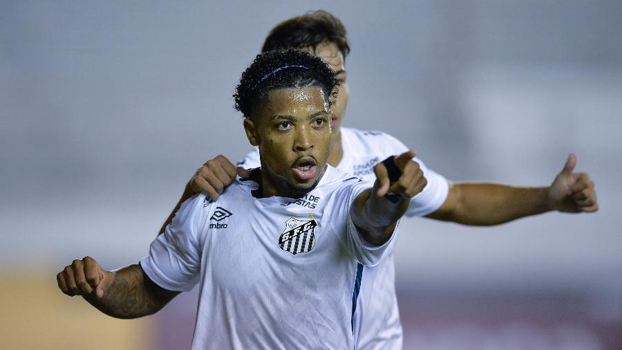 Marinho comemora gol do Santos contra o Delfín, em jogo da Libertadores - Rodrigo BUENDIA / AFP