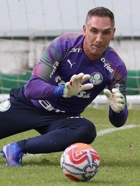 Fernando Prass em treino do Palmeiras - Cesar Greco/Ag. Palmeiras