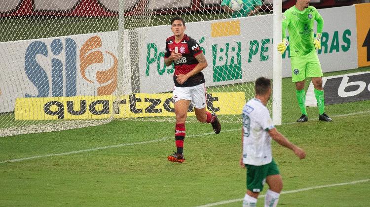 Pedro, from Flamengo, celebrates a goal against Goiás - Alexandre Vidal / Flamengo - Alexandre Vidal / Flamengo