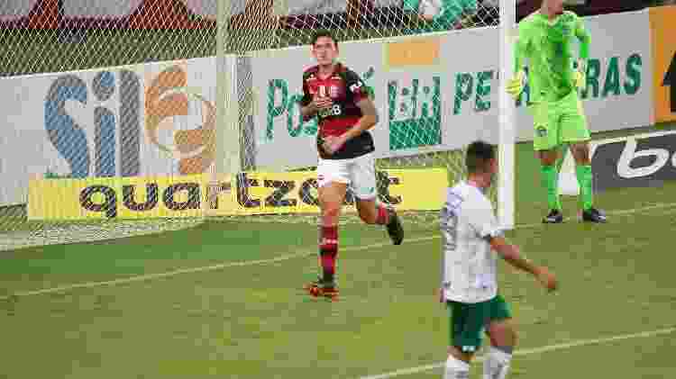 Pedro, do Flamengo, celebra gol contra o Goiás - Alexandre Vidal / Flamengo - Alexandre Vidal / Flamengo