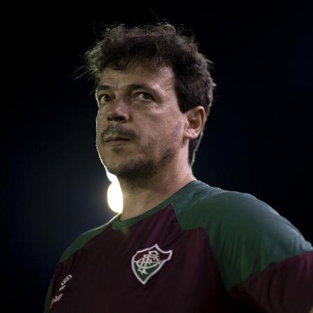 Fernando Diniz, técnico do Fluminense - Jorge Rodrigues/Agif