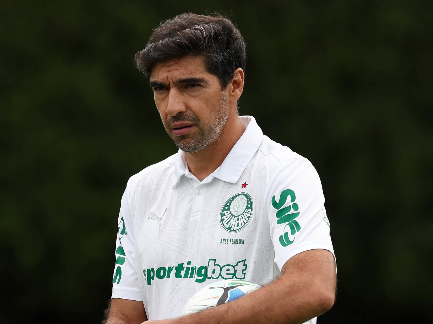 Ceará vs Palmeiras: A Thrilling Brazilian Showdown