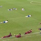 Ataque de abelhas paralisa final do Campeonato Baiano Sub-20; Bahia goleia