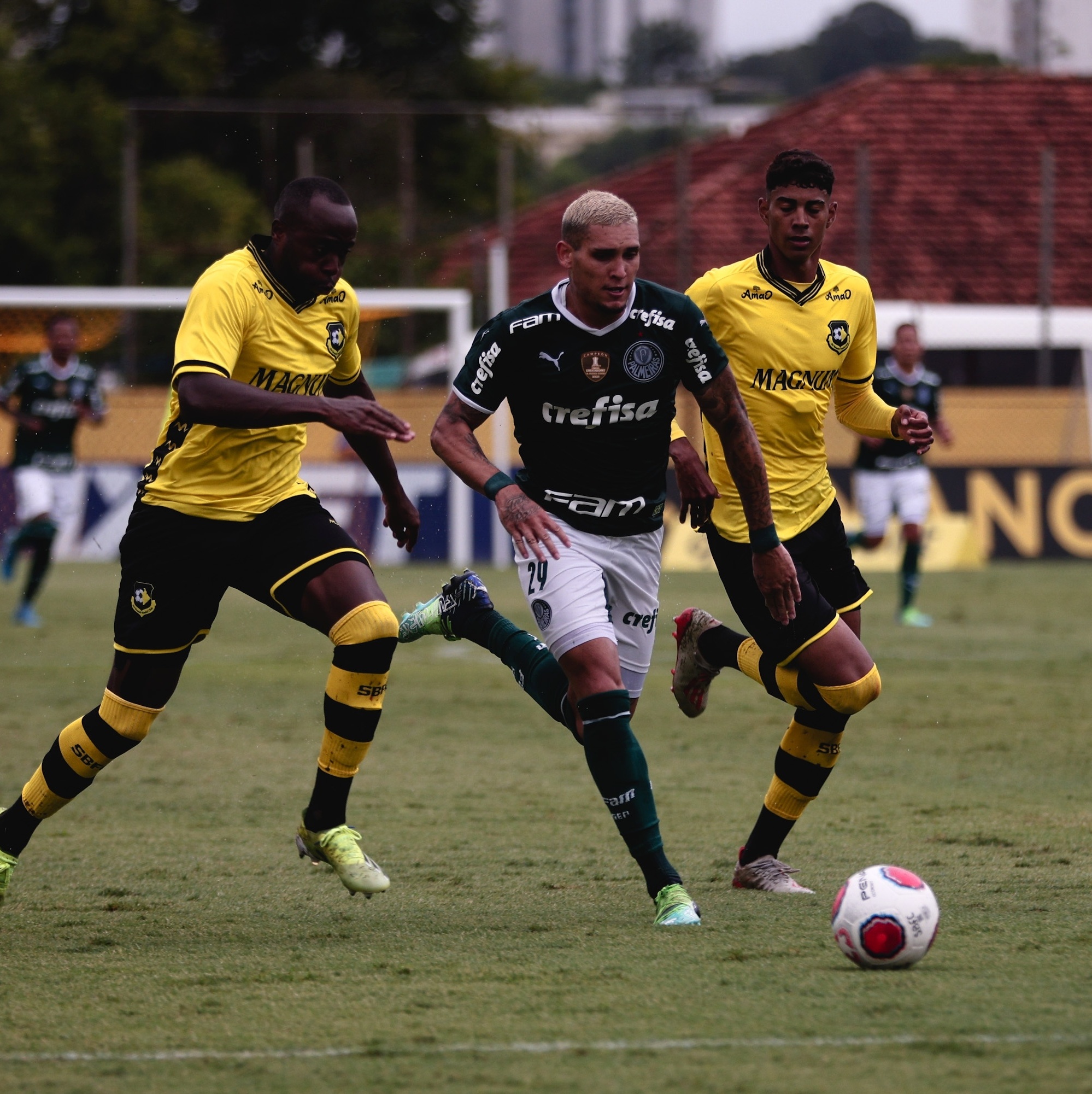 Palmeiras arranca empate com São Bernardo fora de casa no Paulistão