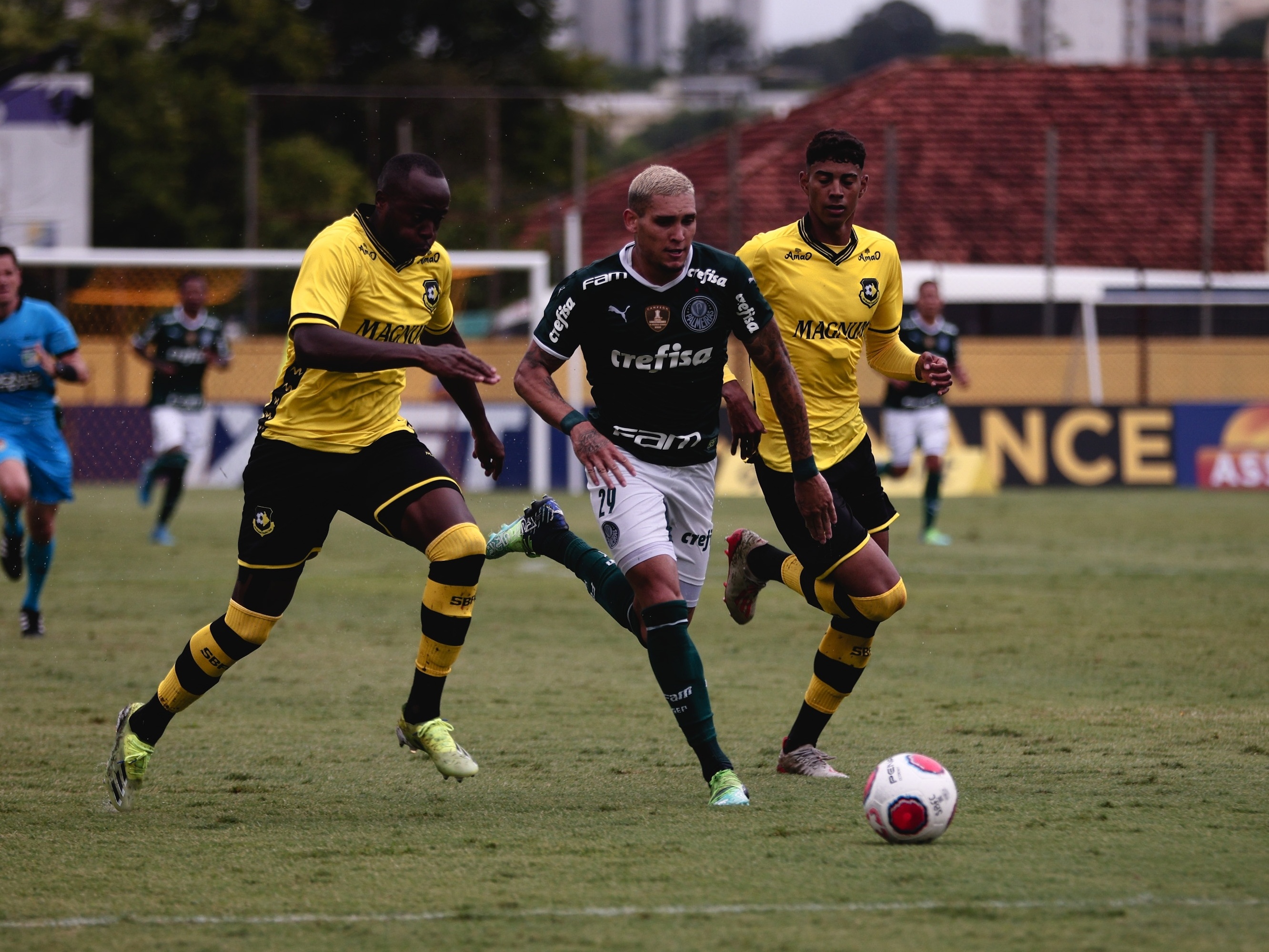 Técnico do São Bernardo se anima com jogo contra o Palmeiras