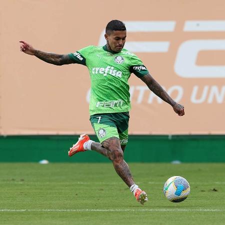 Dudu marca um em jogo-treino do Palmeiras contra o São Caetano