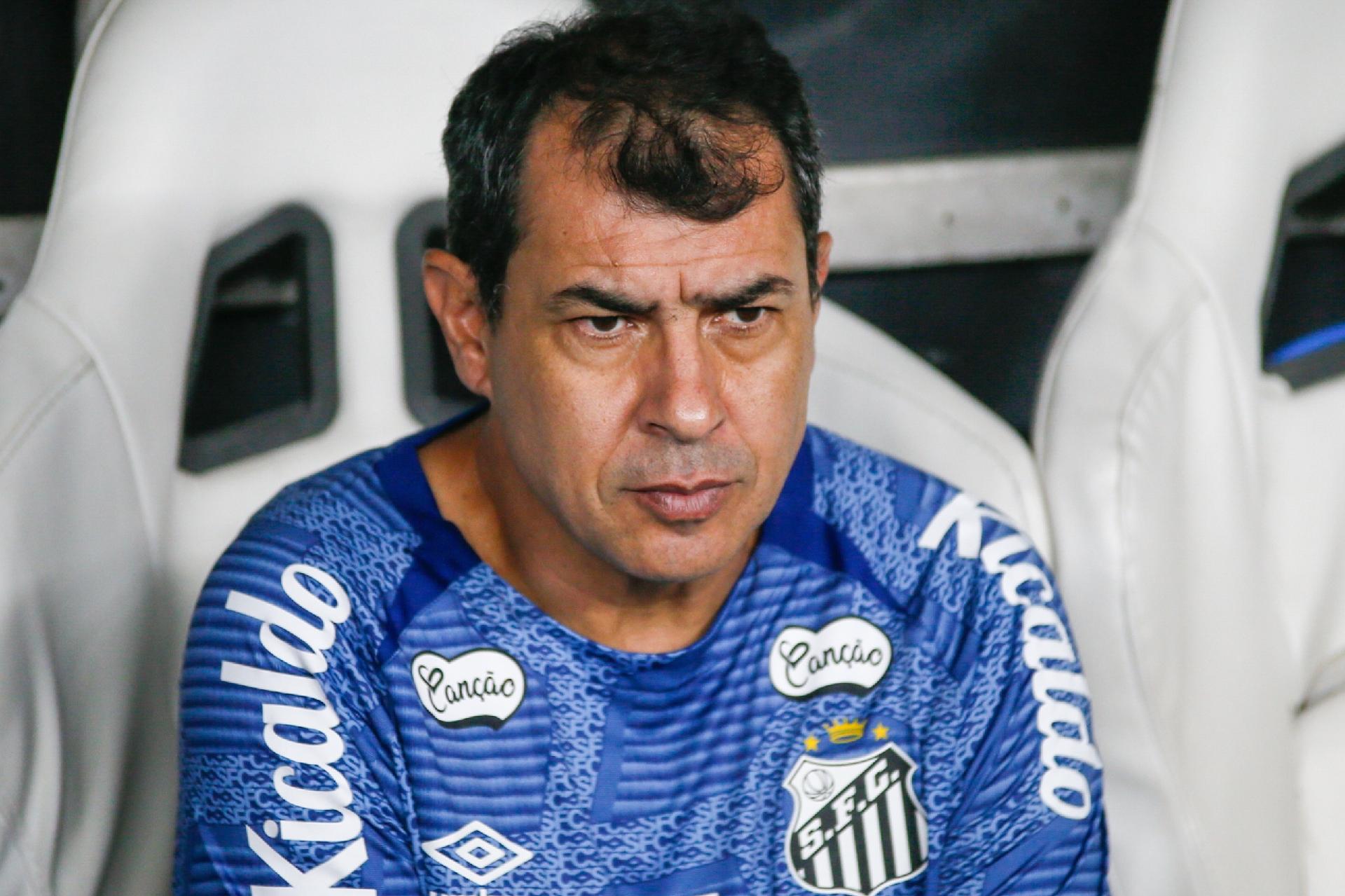 Fábio Carille, Santos (Foto: Baggio Rodrigues/AGIF)