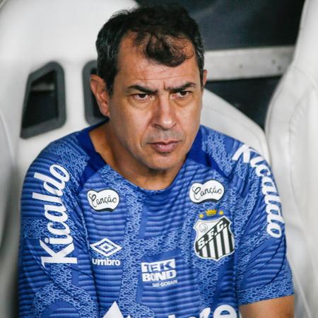 Fábio Carille, técnico do Santos, durante jogo contra o Ceará, pela Série B