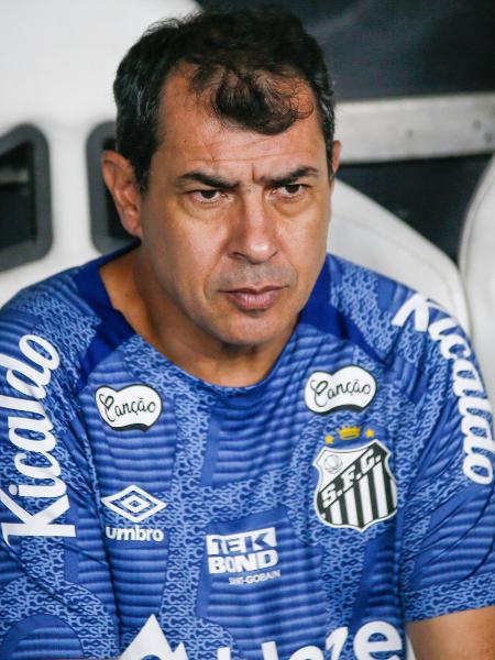 Fábio Carille, técnico do Santos, durante jogo contra o Ceará, pela Série B