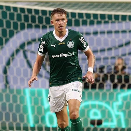 O Palmeiras recebe o Bolívar na quinta-feira pela Copa Libertadores - Cesar Greco/Palmeiras