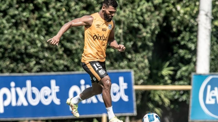 Primeiro treino de Willian Maranhão como jogador do Santos  - Ivan Storti/Santos FC