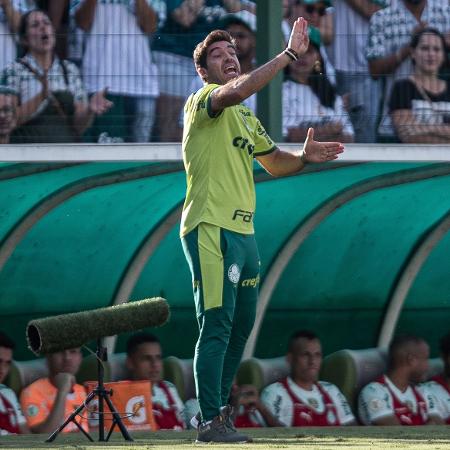Abel Ferreira comandando o Palmeiras contra o Goiás, pelo Brasileirão - Heber Gomes/AGIF