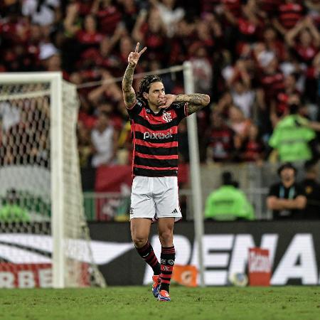 Pedro comemora gol marcado na partida entre Flamengo x Palmeiras pela ida das oitavas de final da Copa do Brasil