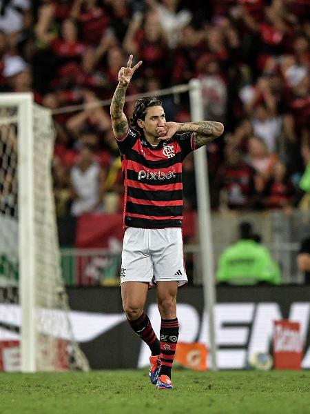 Pedro comemora gol marcado na partida entre Flamengo x Palmeiras pela ida das oitavas de final da Copa do Brasil