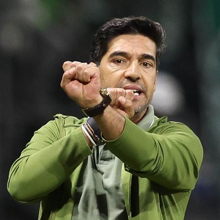 O Palmeiras encara o Grêmio, hoje, às 21h (de Brasília), pelo Brasileirão
