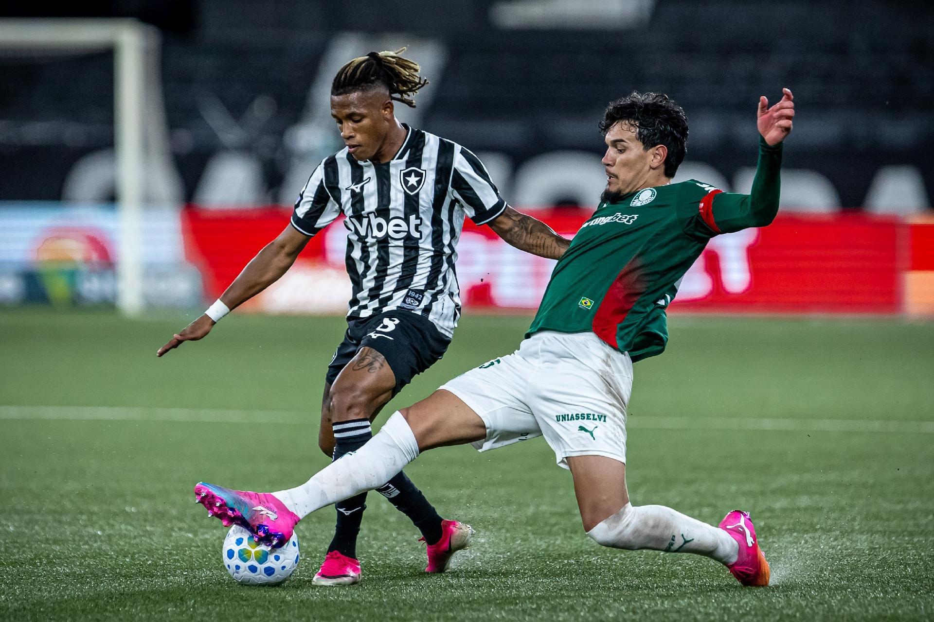 Gustavo Gómez e Danilo disputam bola durante Botafogo x Palmeiras, pelo Brasileirão - undefined