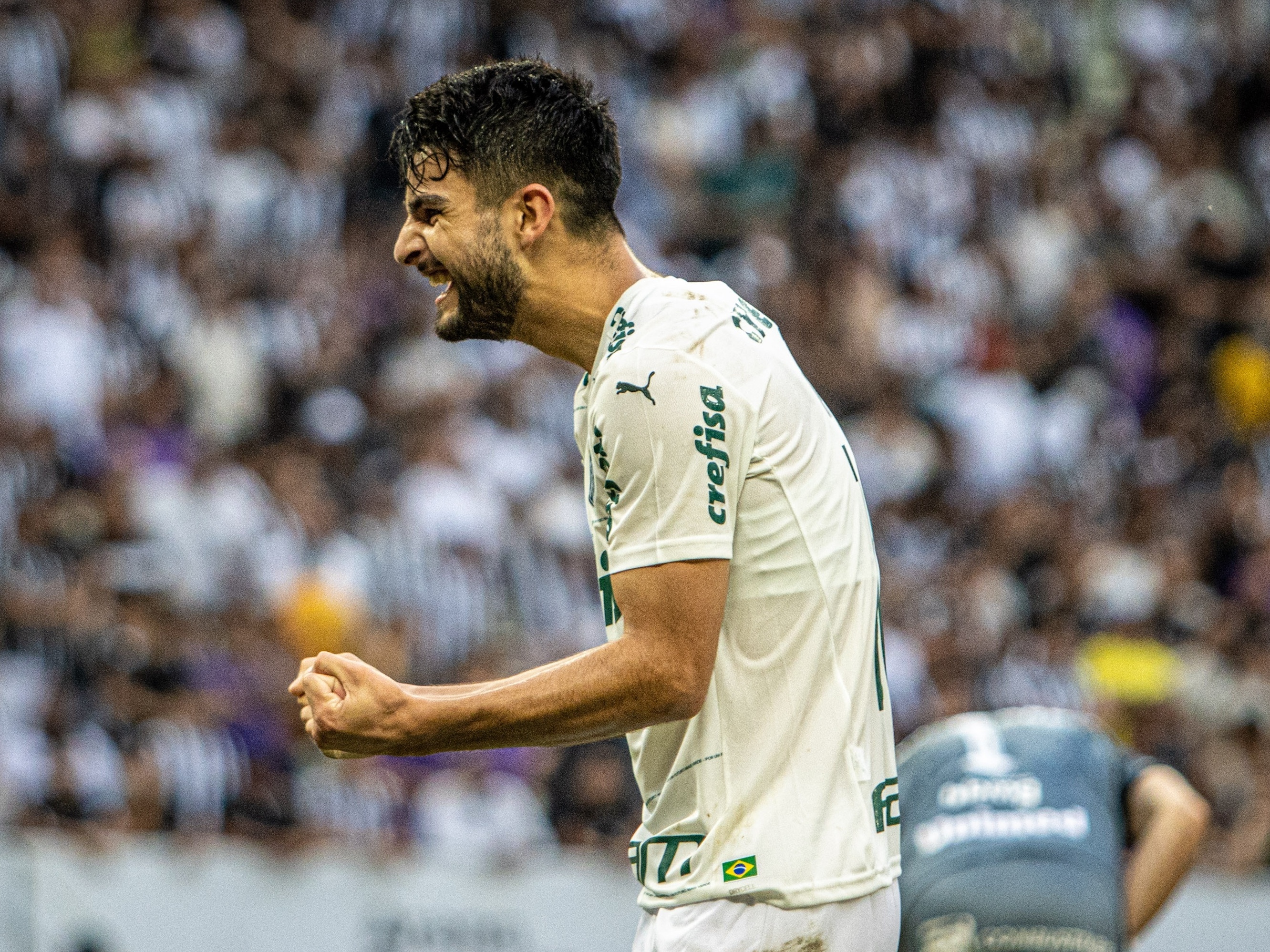 Veja quem foi o melhor jogador do Palmeiras no Brasileirão pelas notas do  GloboEsporte.com, palmeiras