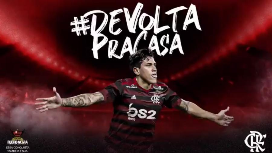 Flamengo anunciou oficialmente a chegada do atacante Pedro, ex-Fluminense - Reprodução