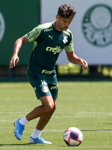 Veiga ressalta boa fase do Palmeiras para fazer sua