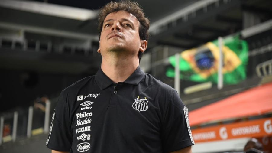 Treinador evitou culpar jogadores e assumiu responsabilidade pela derrota - Ivan Storti/Santos FC