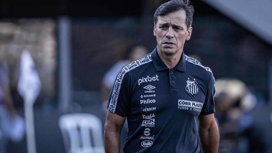 Fabián Bustos, técnico do Santos, durante partida contra o Palmeiras na Vila Belmiro pelo campeonato Brasileiro A 2022. - Raul Baretta/AGIF