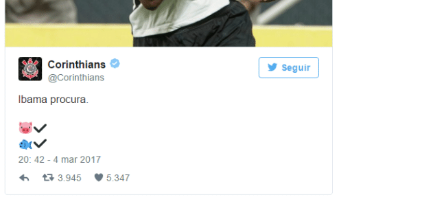 Reprodução Reprodução
