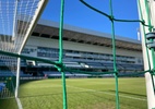 Transmissão ao vivo de Grêmio x Inter: veja onde assistir com imagens - Reprodução/Twitter/Palmeiras