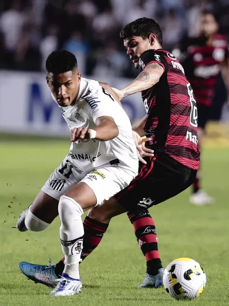 Santos x Flamengo – onde assistir ao vivo, horário do jogo e escalações